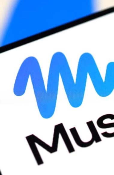 Meta-Muse