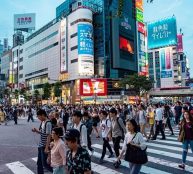 sofi5t-japan-4141578_640